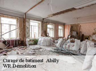 Curage de batiment   abilly-37160 WR Démolition