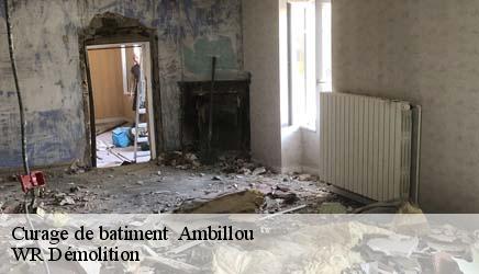 Curage de batiment   ambillou-37340 WR Démolition