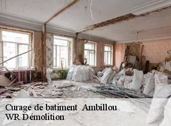 Curage de batiment   ambillou-37340 WR Démolition