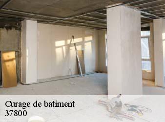 Curage de batiment   antogny-le-tillac-37800 WR Démolition