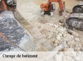 Curage de batiment   antogny-le-tillac-37800 WR Démolition