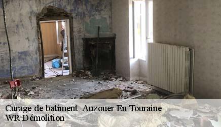 Curage de batiment   auzouer-en-touraine-37110 WR Démolition