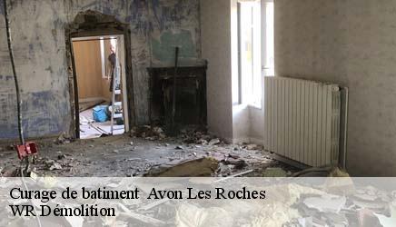 Curage de batiment   avon-les-roches-37220 WR Démolition