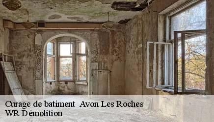 Curage de batiment   avon-les-roches-37220 WR Démolition