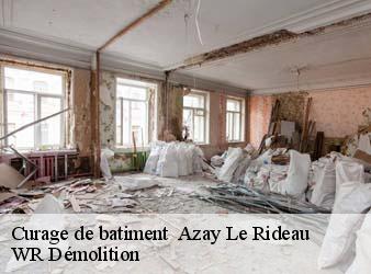 Curage de batiment   azay-le-rideau-37190 WR Démolition