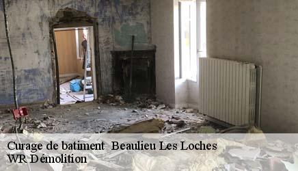 Curage de batiment   beaulieu-les-loches-37600 WR Démolition