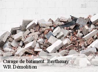 Curage de batiment   berthenay-37510 WR Démolition