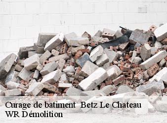 Curage de batiment   betz-le-chateau-37600 WR Démolition