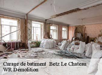 Curage de batiment   betz-le-chateau-37600 WR Démolition