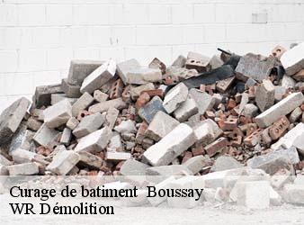 Curage de batiment   boussay-37290 WR Démolition