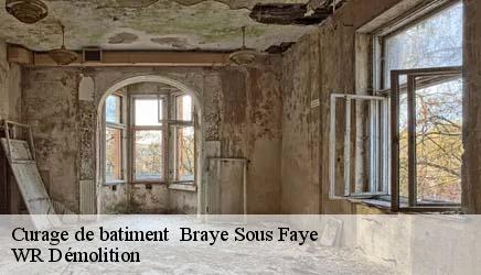 Curage de batiment   braye-sous-faye-37120 WR Démolition