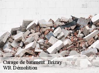 Curage de batiment   brizay-37220 WR Démolition