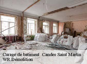 Curage de batiment   candes-saint-martin-37500 WR Démolition