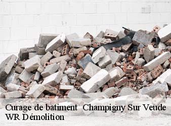 Curage de batiment   champigny-sur-veude-37120 WR Démolition