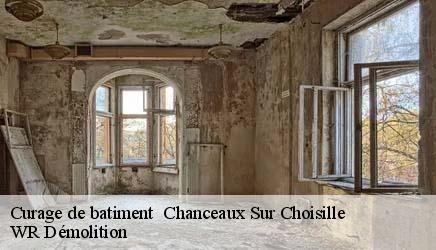 Curage de batiment   chanceaux-sur-choisille-37390 WR Démolition