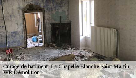 Curage de batiment   la-chapelle-blanche-saint-martin-37240 WR Démolition