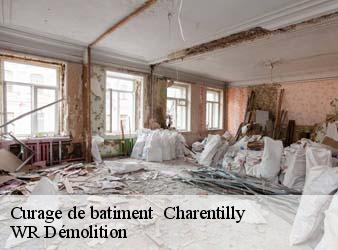 Curage de batiment   charentilly-37390 WR Démolition