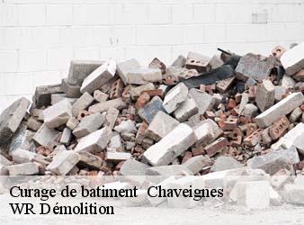 Curage de batiment   chaveignes-37120 WR Démolition