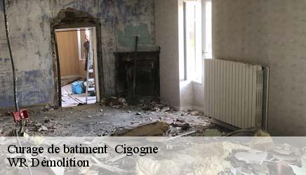 Curage de batiment   cigogne-37310 WR Démolition