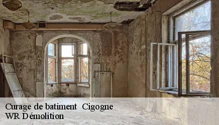 Curage de batiment   cigogne-37310 WR Démolition