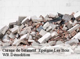 Curage de batiment   epeigne-les-bois-37150 WR Démolition