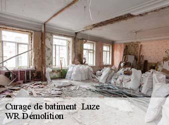 Curage de batiment   luze-37120 WR Démolition