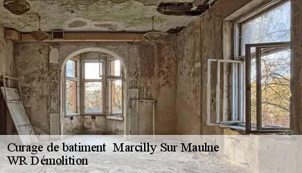 Curage de batiment   marcilly-sur-maulne-37330 WR Démolition