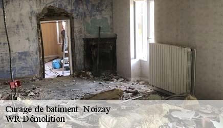 Curage de batiment   noizay-37210 WR Démolition