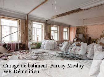 Curage de batiment   parcay-meslay-37210 WR Démolition