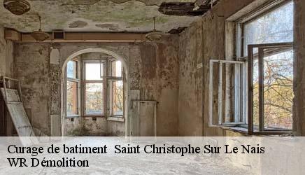 Curage de batiment   saint-christophe-sur-le-nais-37370 WR Démolition