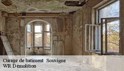 Curage de batiment   souvigne-37330 WR Démolition