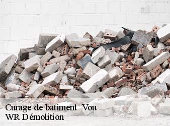 Curage de batiment   vou-37240 WR Démolition