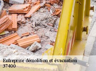 Entreprise démolition et évacuation  lussault-sur-loire-37400 WR Démolition