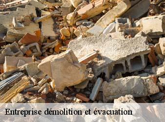Entreprise démolition et évacuation  saint-ouen-les-vignes-37530 WR Démolition