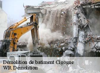 Démolition de batiment  cigogne-37310 WR Démolition