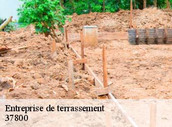 Entreprise de terrassement  antogny-le-tillac-37800 WR Démolition