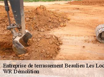 Entreprise de terrassement  beaulieu-les-loches-37600 WR Démolition