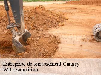 Entreprise de terrassement  cangey-37530 WR Démolition