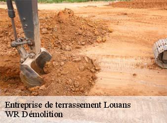 Entreprise de terrassement  louans-37320 WR Démolition