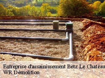 Entreprise d'assainissement  betz-le-chateau-37600 WR Démolition