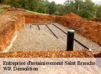 Entreprise d'assainissement  saint-branchs-37320 WR Démolition