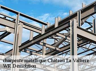 charpente métallique  chateau-la-valliere-37330 WR Démolition