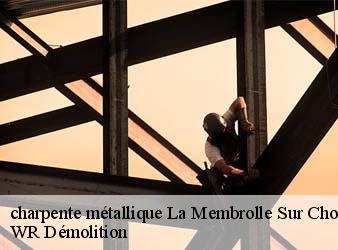 charpente métallique  la-membrolle-sur-choisill-37390 WR Démolition