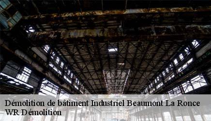 Démolition de bâtiment Industriel  beaumont-la-ronce-37360 WR Démolition