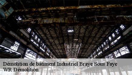 Démolition de bâtiment Industriel  braye-sous-faye-37120 WR Démolition