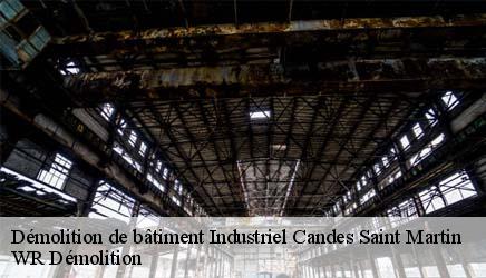 Démolition de bâtiment Industriel  candes-saint-martin-37500 WR Démolition