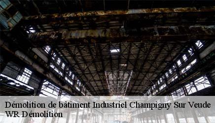 Démolition de bâtiment Industriel  champigny-sur-veude-37120 WR Démolition