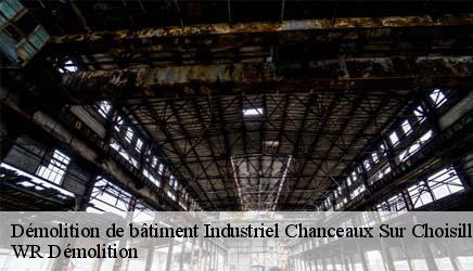 Démolition de bâtiment Industriel  chanceaux-sur-choisille-37390 WR Démolition