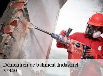 Démolition de bâtiment Industriel  hommes-37340 WR Démolition