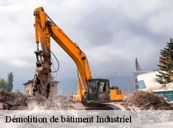Démolition de bâtiment Industriel  lussault-sur-loire-37400 WR Démolition